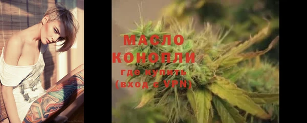 молекула духа Новодвинск