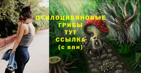 МДПВ Алексеевка