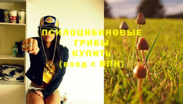 МДПВ Алексеевка