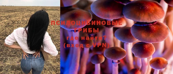 спиды Алексин