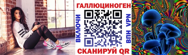 купить   Пролетарск  Псилоцибиновые грибы Magic Shrooms 